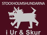 Stockholmshundarna – i Ur & Skur